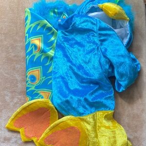 Colorful Peacock Kids Costume